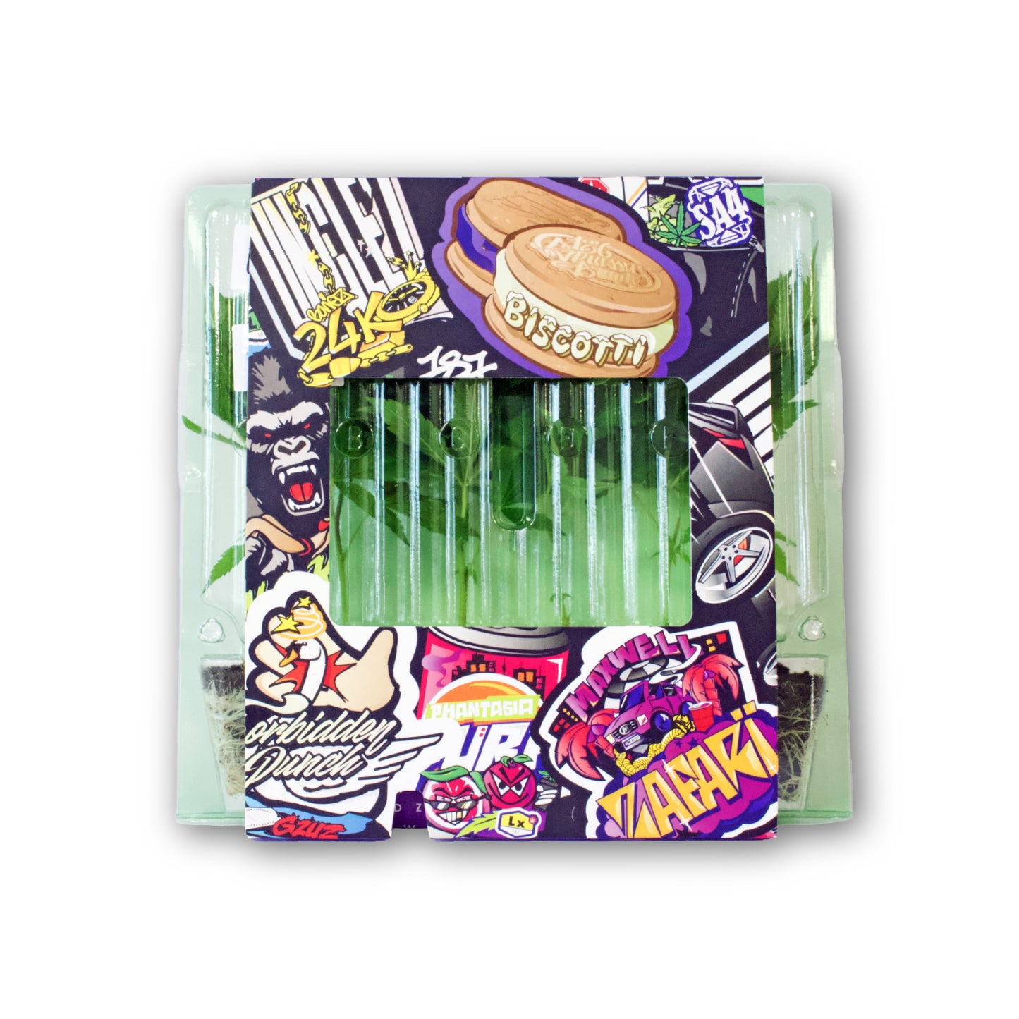 Hanf-Stecklinge in transparenter Blisterverpackung mit grünen Pflanzen und bunter Banderole im Graffiti-Design, Sorten wie Biscotti und 24K.